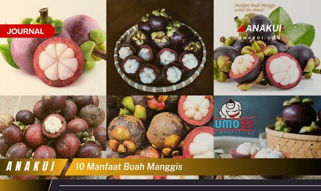 Inilah 10 Manfaat Buah Manggis yang Bikin Kamu Penasaran