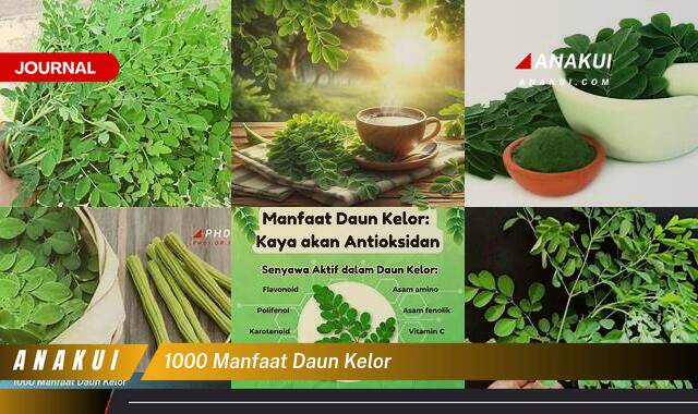 Inilah 9 Manfaat Daun Kelor yang Luar Biasa yang Wajib Kamu Ketahui