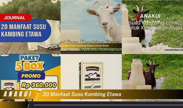 20 Manfaat Susu Kambing Etawa yang Bikin Kamu Penasaran