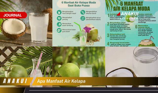 Ketahui 8 Manfaat Air Kelapa yang Bikin Kamu Penasaran