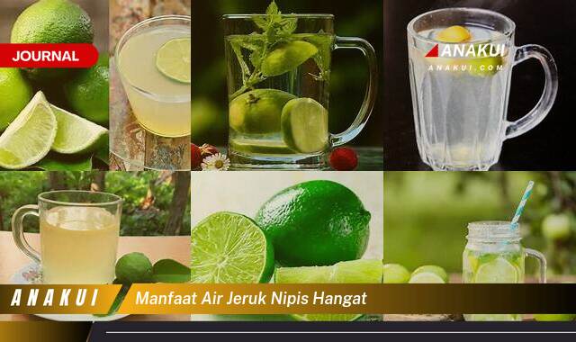 Ketahui 10 Manfaat Air Jeruk Nipis Hangat yang Bikin Kamu Penasaran