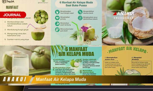 Inilah 10 Manfaat Air Kelapa Muda yang Tak Banyak Orang Tau