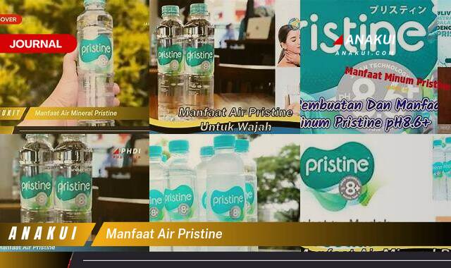 Ketahui 9 Manfaat Air Pristine yang Tak Semua Orang Tahu