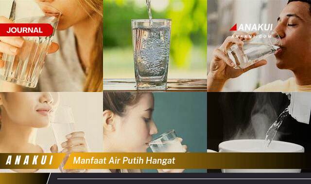 Ketahui 8 Manfaat Air Putih Hangat yang Tak Banyak Orang Tahu