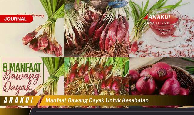 Inilah 8 Manfaat Bawang Dayak untuk Kesehatan yang Tidak Semua Orang Tau