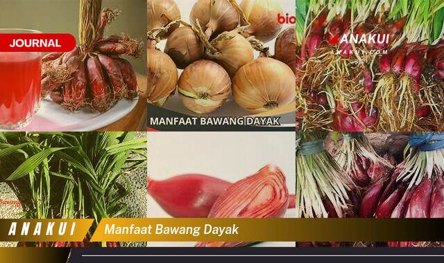 Ketahui 8 Manfaat Bawang Dayak yang Wajib Kamu Ketahui