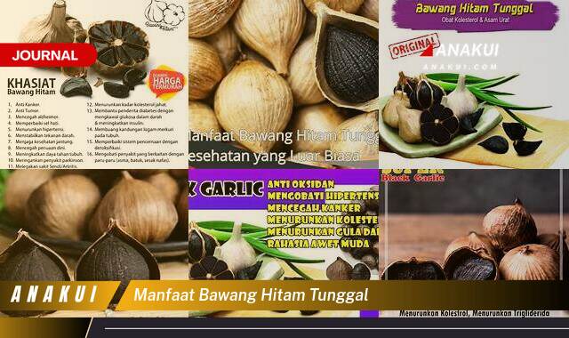 Inilah 10 Manfaat Bawang Hitam Tunggal yang Wajib Kamu Intip