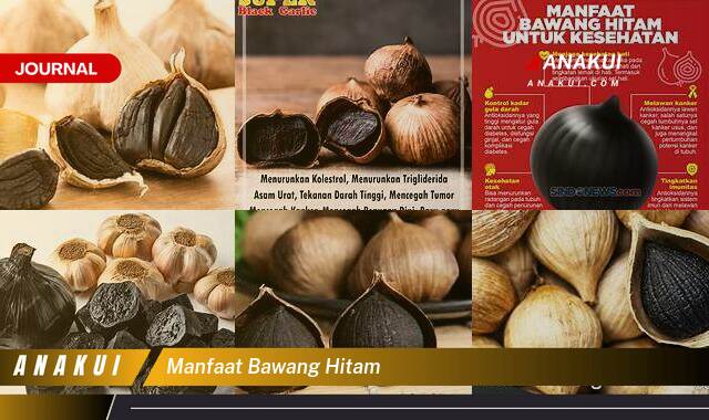 Ketahui 9 Manfaat Bawang Hitam yang Wajib Kamu Ketahui