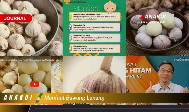 Inilah 9 Manfaat Bawang Lanang yang Tak Banyak Orang Tau