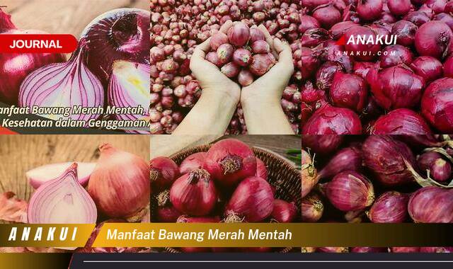 Ketahui 8 Manfaat Bawang Merah Mentah yang Bikin Kamu Penasaran