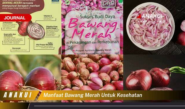 Ketahui 10 Manfaat Bawang Merah untuk Kesehatan yang Wajib Kamu Intip