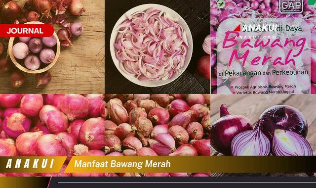 Inilah 8 Manfaat Bawang Merah yang Bikin Kamu Penasaran