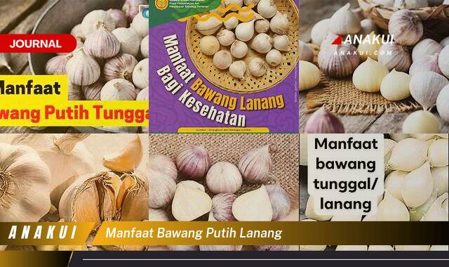 Inilah 10 Manfaat Bawang Putih Lanang yang Wajib Kamu Ketahui