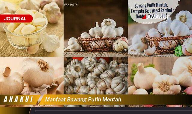 Inilah 8 Manfaat Bawang Putih Mentah yang Tak Semua Orang Tau