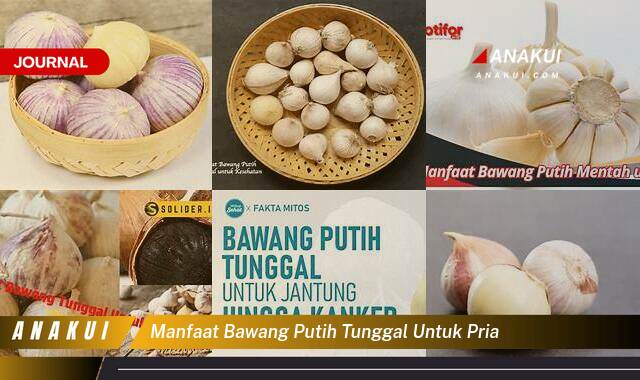 Inilah 10 Manfaat Bawang Putih Tunggal untuk Pria yang Wajib Kamu Ketahui