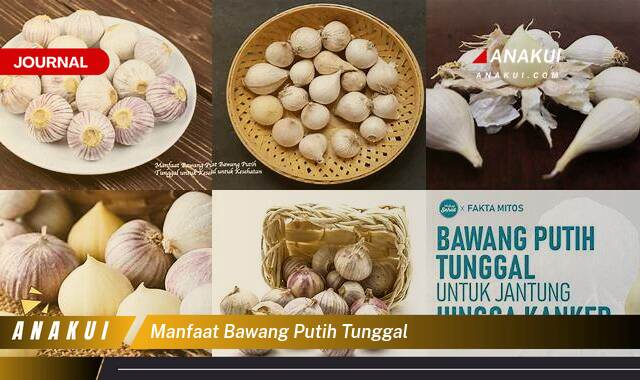 Ketahui 8 Manfaat Bawang Putih Tunggal yang Wajib Kamu Ketahui