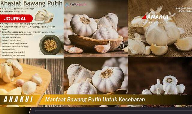 Ketahui 10 Manfaat Bawang Putih untuk Kesehatan yang Tak Semua Orang Tahu