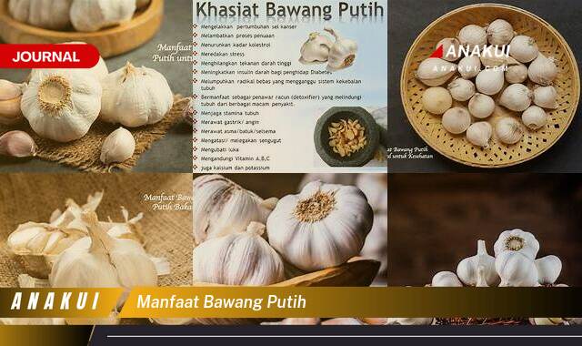 Ketahui 9 Manfaat Bawang Putih yang Bikin Kamu Penasaran