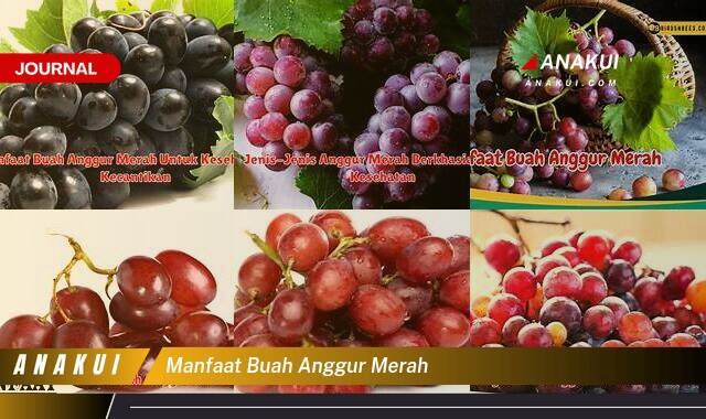 Ketahui 8 Manfaat Buah Anggur Merah yang Bikin Kamu Penasaran