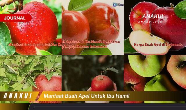 Inilah 9 Manfaat Buah Apel untuk Ibu Hamil yang Wajib Kamu Intip