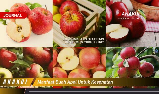 Inilah 8 Manfaat Buah Apel untuk Kesehatan yang Wajib Kamu Ketahui