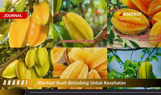 Inilah 10 Manfaat Buah Belimbing untuk Kesehatan yang Bikin Kamu Penasaran