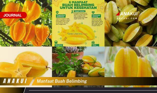 Inilah 10 Manfaat Buah Belimbing yang Wajib Kamu Ketahui