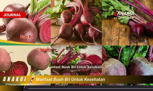 Inilah 9 Manfaat Buah Bit untuk Kesehatan yang Bikin Kamu Penasaran