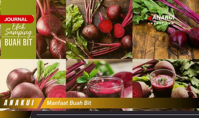 Inilah 8 Manfaat Buah Bit yang Wajib Kamu Intip