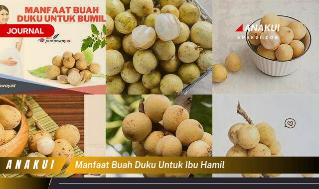 Inilah 8 Manfaat Buah Duku untuk Ibu Hamil yang Wajib Kamu Intip