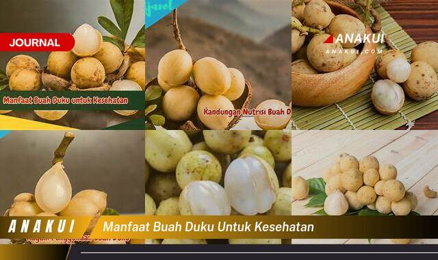 Ketahui 9 Manfaat Buah Duku untuk Kesehatan yang Bikin Kamu Penasaran