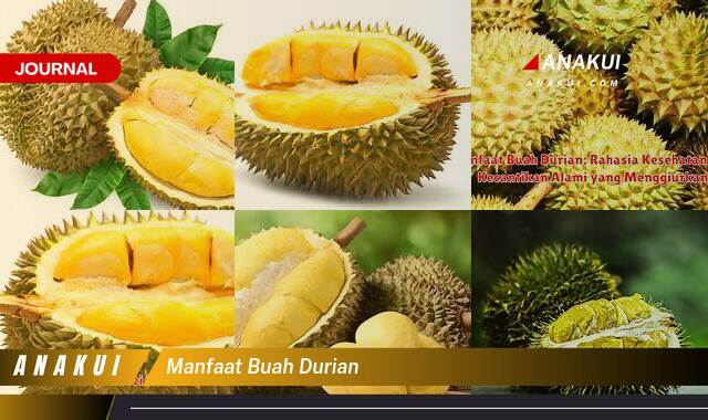 Inilah 10 Manfaat Buah Durian yang Tak Semua Orang Tahu