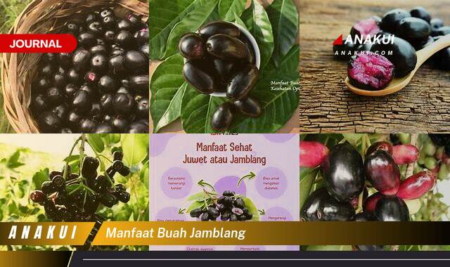 Ketahui 10 Manfaat Buah Jamblang yang Bikin Kamu Penasaran