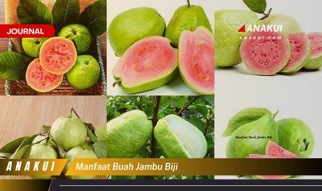 Ketahui 8 Manfaat Buah Jambu Biji yang Wajib Kamu Ketahui