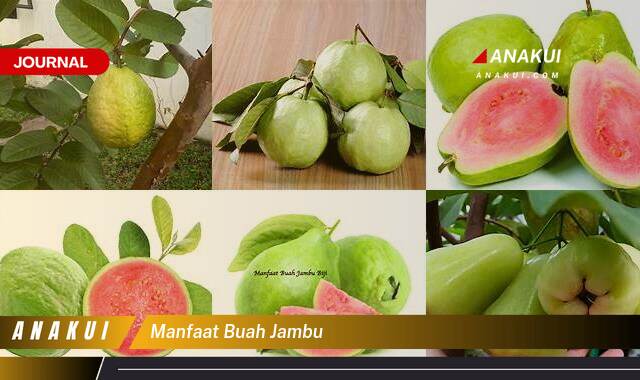 Ketahui 8 Manfaat Buah Jambu yang Wajib Kamu Ketahui