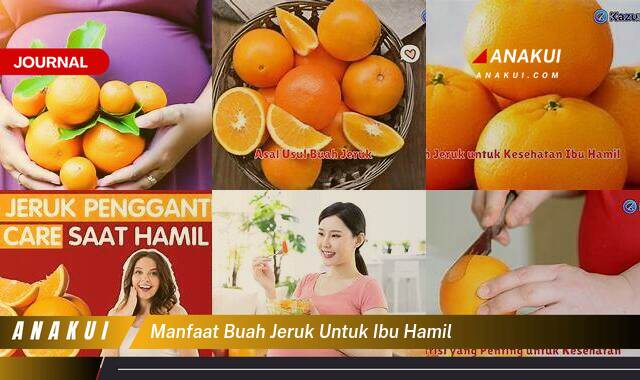 Ketahui 8 Manfaat Buah Jeruk untuk Ibu Hamil yang Tak Semua Orang Tau