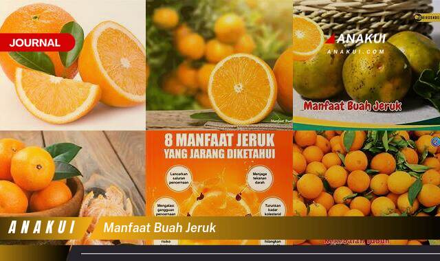 Ketahui 8 Manfaat Buah Jeruk yang Wajib Kamu Intip