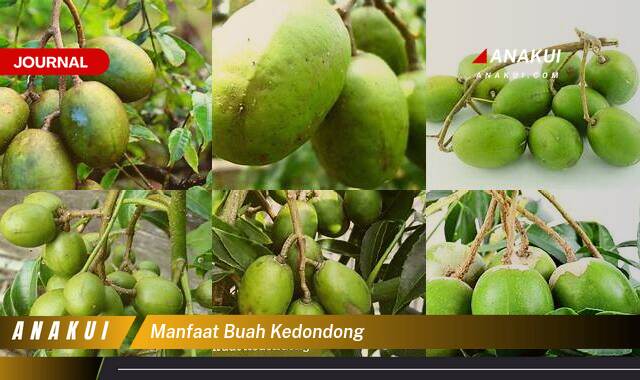 Inilah 8 Manfaat Buah Kedondong yang Wajib Kamu Intip