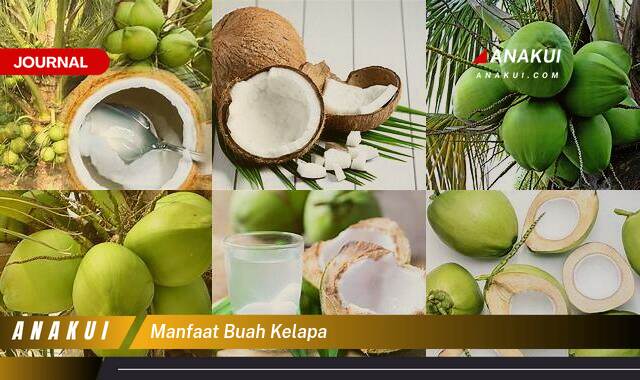 Inilah 9 Manfaat Buah Kelapa yang Bikin Kamu Penasaran