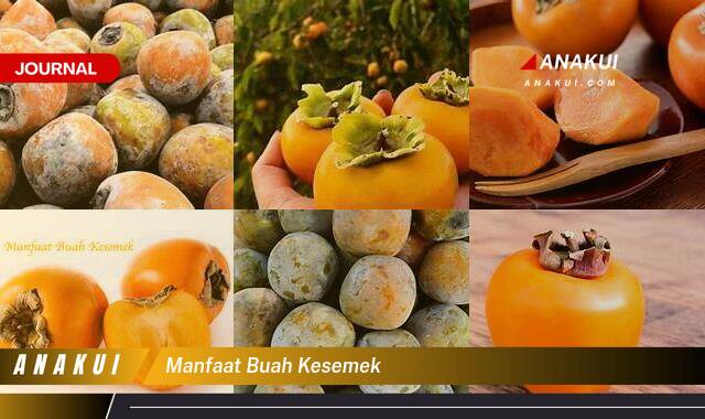 Inilah 8 Manfaat Buah Kesemek yang Wajib Kamu Ketahui