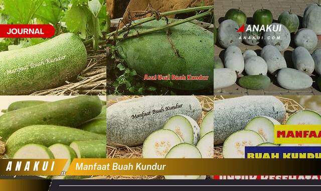 Inilah 8 Manfaat Buah Kundur yang Tak Banyak Orang Tahu