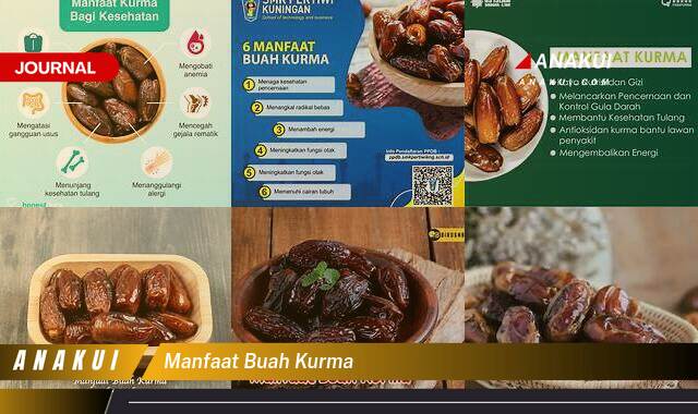 Inilah 9 Manfaat Buah Kurma yang Wajib Kamu Ketahui