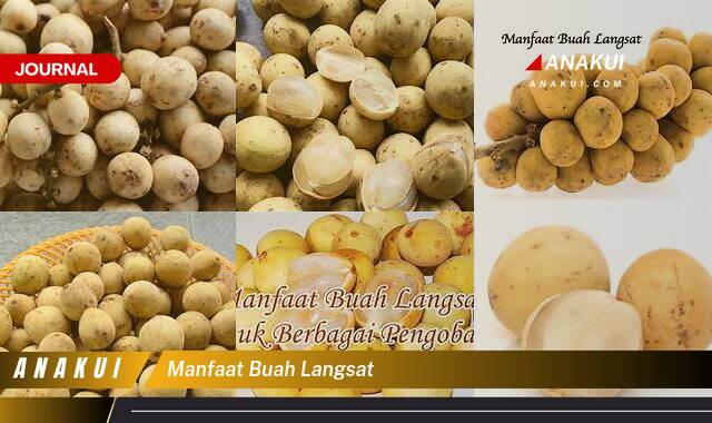 Inilah 10 Manfaat Buah Langsat, Khasiat yang Wajib Kamu Intip