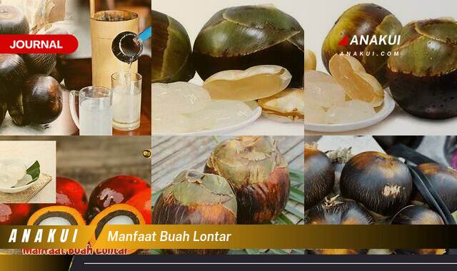 Ketahui 9 Manfaat Buah Lontar yang Wajib Kamu Intip