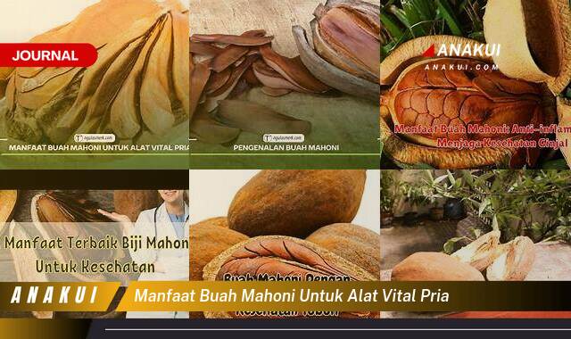 Inilah 8 Manfaat Buah Mahoni untuk Vitalitas Pria yang Wajib Kamu Ketahui