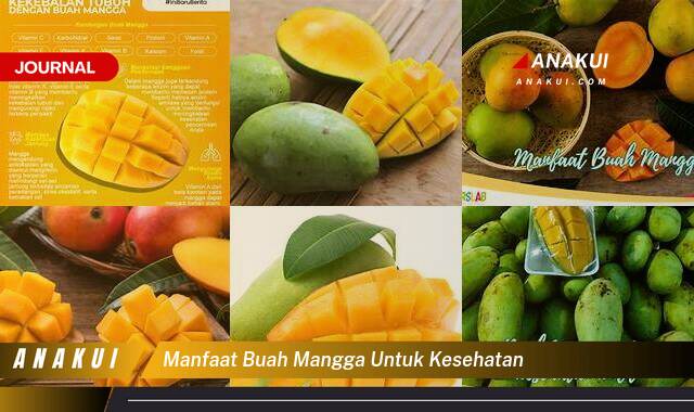 Inilah 10 Manfaat Buah Mangga untuk Kesehatan yang Bikin Kamu Penasaran