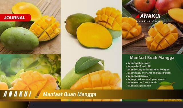 Ketahui 8 Manfaat Buah Mangga yang Tak Disangka