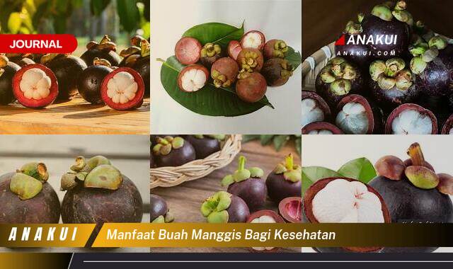 Ketahui 9 Manfaat Buah Manggis bagi Kesehatan yang Bikin Kamu Penasaran