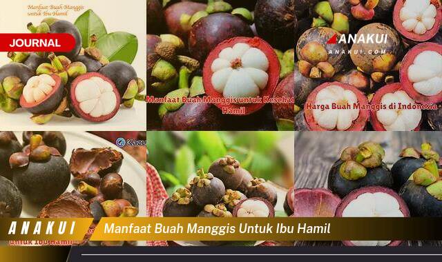 Ketahui 8 Manfaat Buah Manggis untuk Ibu Hamil yang Wajib Kamu Intip