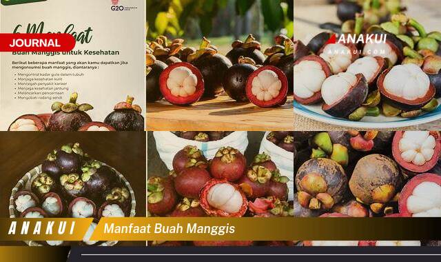 Inilah 10 Manfaat Buah Manggis yang Wajib Kamu Intip